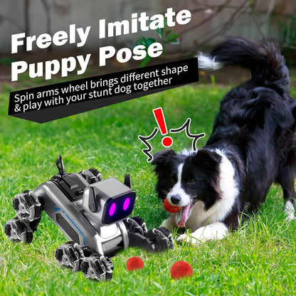 🎮Remote & Watch Control Stunt Spray Robot Dog